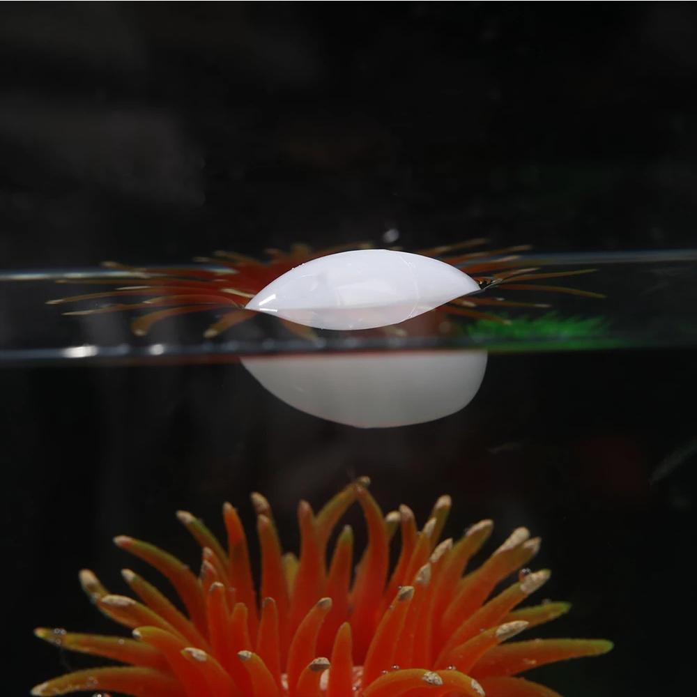 WONDER Wonder Set 10 Dụng Cụ Hỗ Trợ Bắn Cá Có Ghim Dài