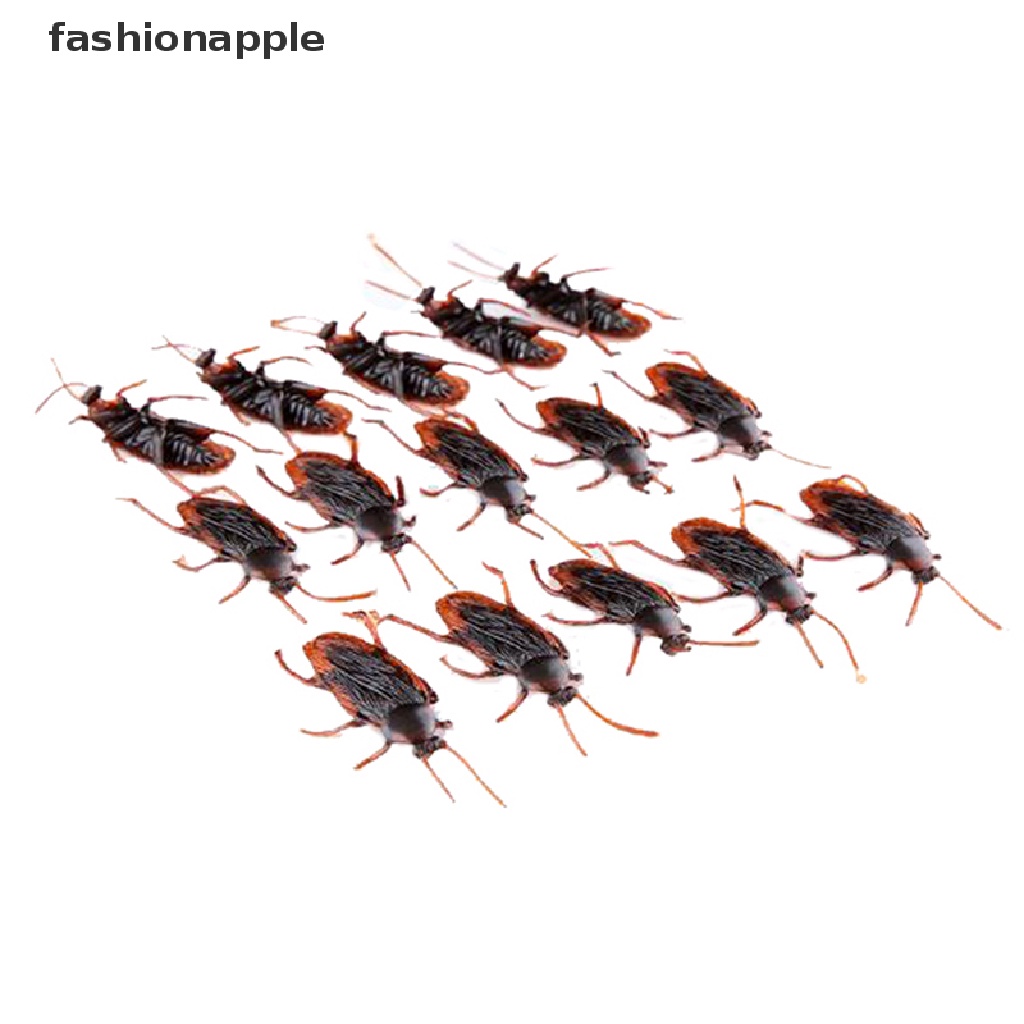 Set 10 Mô Hình Con Gián Giả Bằng Cao Su