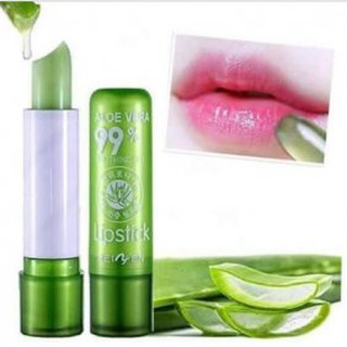 (NEW) SON GIÓ 99% Nha đam (loại tròn) hàng mới