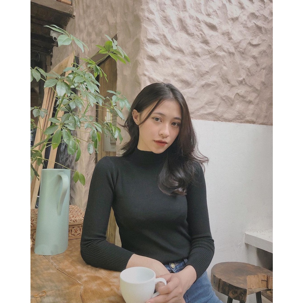 Áo len dài tay dáng ôm màu trơn cổ 3 phân  thời trang thu đông cho nữ HNDAL01 | BigBuy360 - bigbuy360.vn