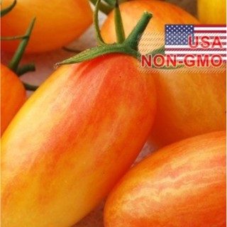 Hạt Giống Cà Chua - Đỏ Mặt - Gói 5 hạt