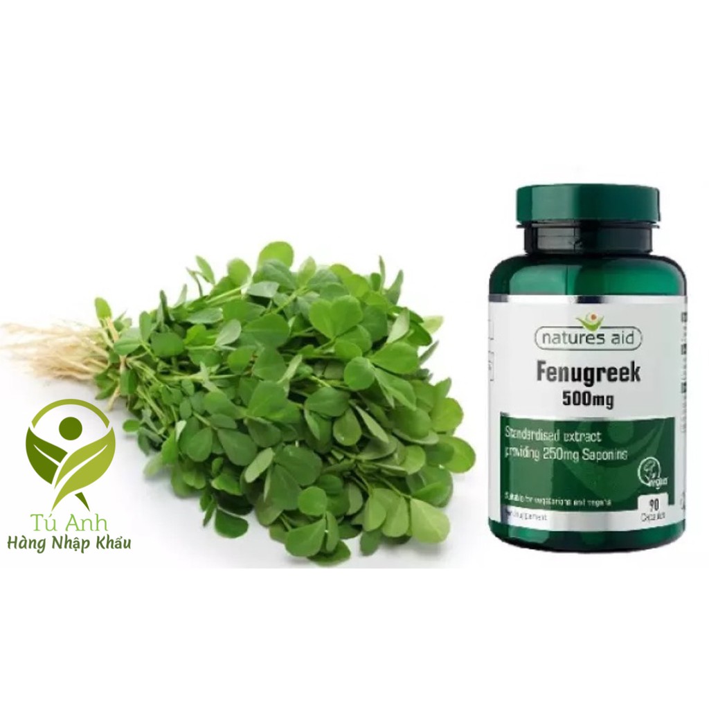 Lợi sữa Cỏ cà ri Fenugreek, 90 viên