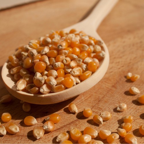 (1Kg) Ngô Mỹ nổ bắp rang bơ tại nhà | BigBuy360 - bigbuy360.vn