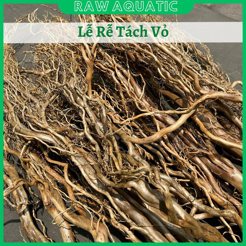 Lũa Rễ Tách Vỏ Trang Trí, Setup Bể Cá Cảnh, Bể Thủy Sinh, Bố Cục Bán Cạn, Layout Vách