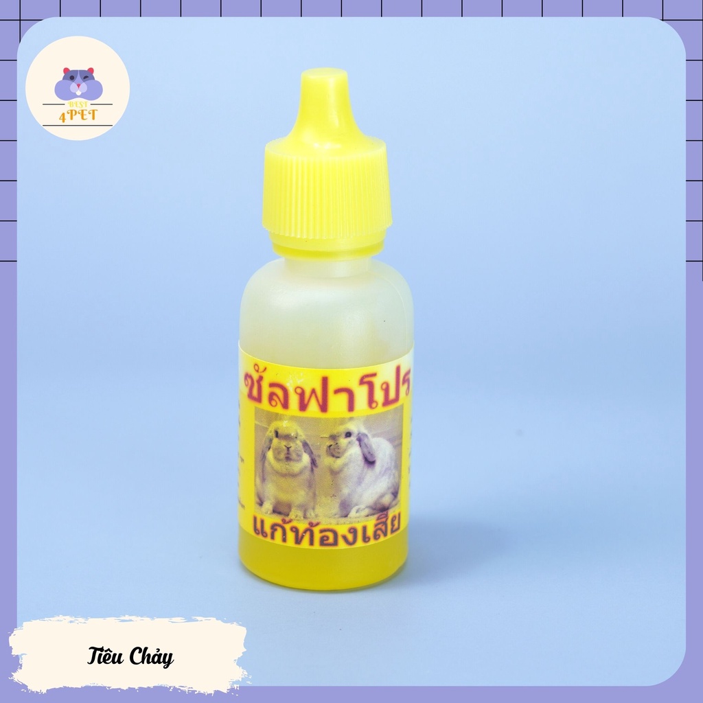 Vitamin - Tiêu Chảy cho Hamster, Guinea Pig, Thỏ