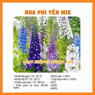 Hạt giống hoa phi yến mix - 50 hạt