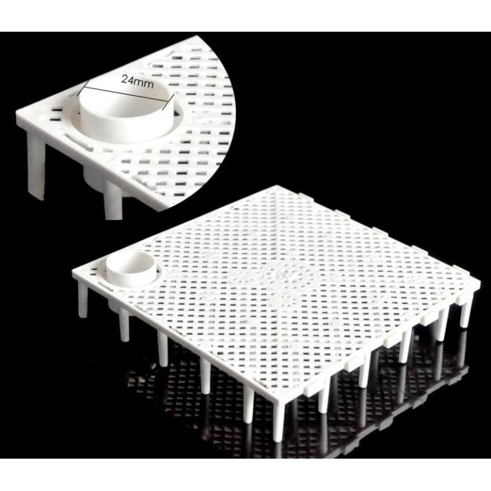 Vĩ Mỏ Vịt - Lọc đáy Taiwan - Lót nền thuỷ sinh