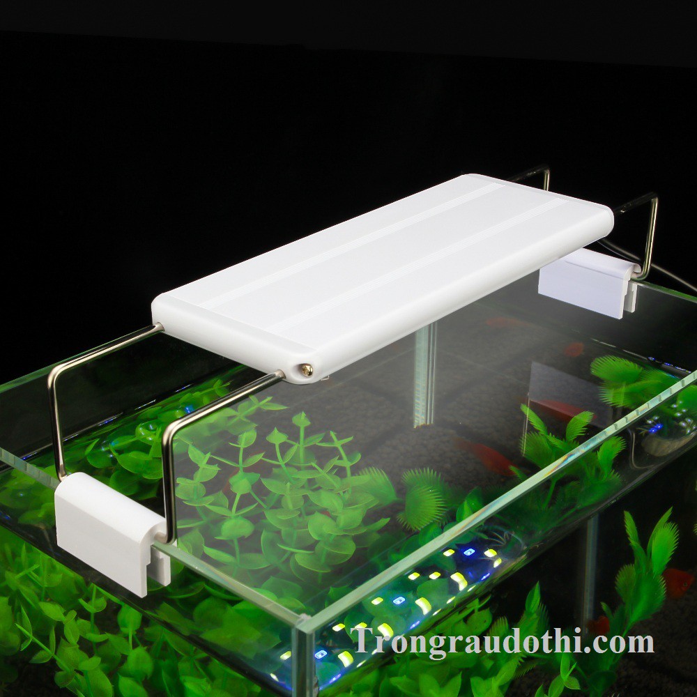 Đèn led máng bế cá Roxin K200 rất sáng và đẹp cho bể dài từ 20-30cm