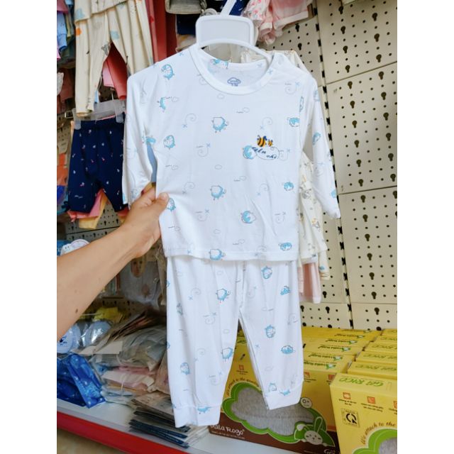 Bộ unchi cotton sợi tre