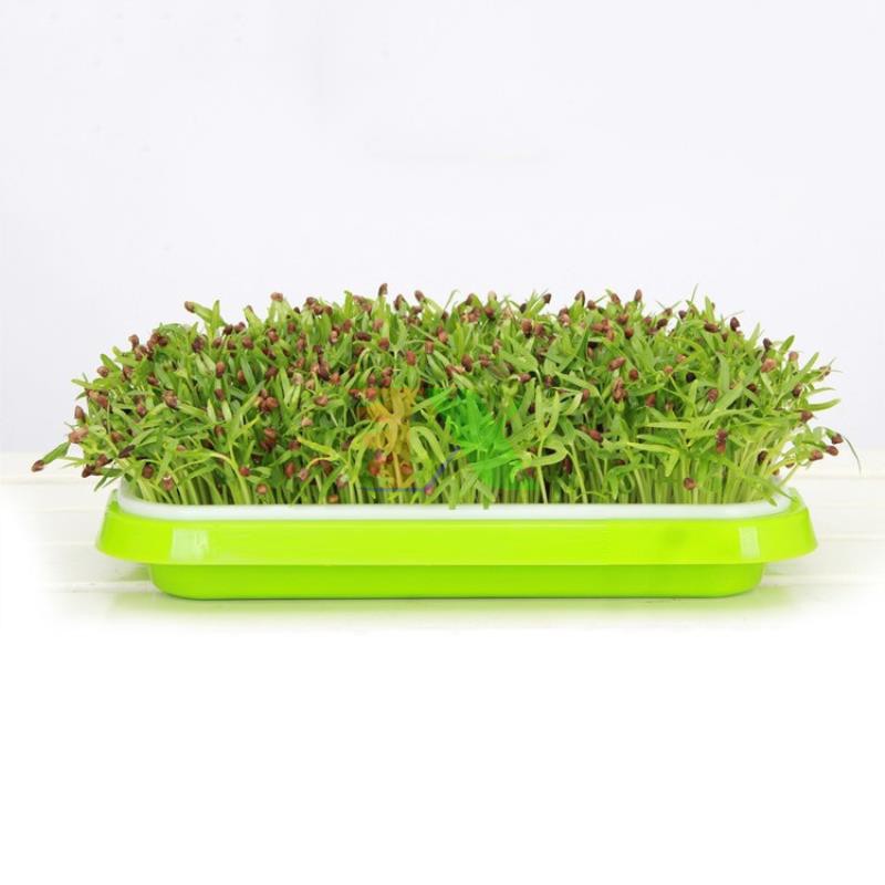 Bộ kit Khay trồng rau mầm thủy canh chuyên dụng (6 khay 3 tầng )
