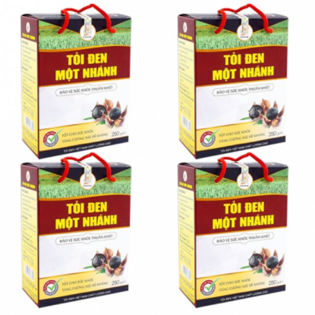 Combo 4 hộp Tỏi đen 1 nhánh