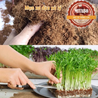 Combo 5kg xơ dừa mùn dừa giá thể trồng rau, hoa màu, dâu tây