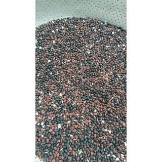 Trà Đậu đen + Đậu đỏ + Gạo lứt