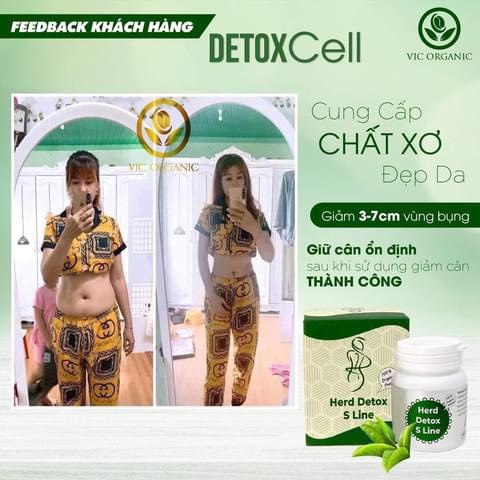 DETOX Cell Herd DETOX S Line giảm mỡ bụng 5-8cm sau 14 ngày