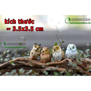 Chim cú mèo - tượng trang trí tiểu cảnh trang trí bàn làm việc - phụ kiện tiểu cảnh