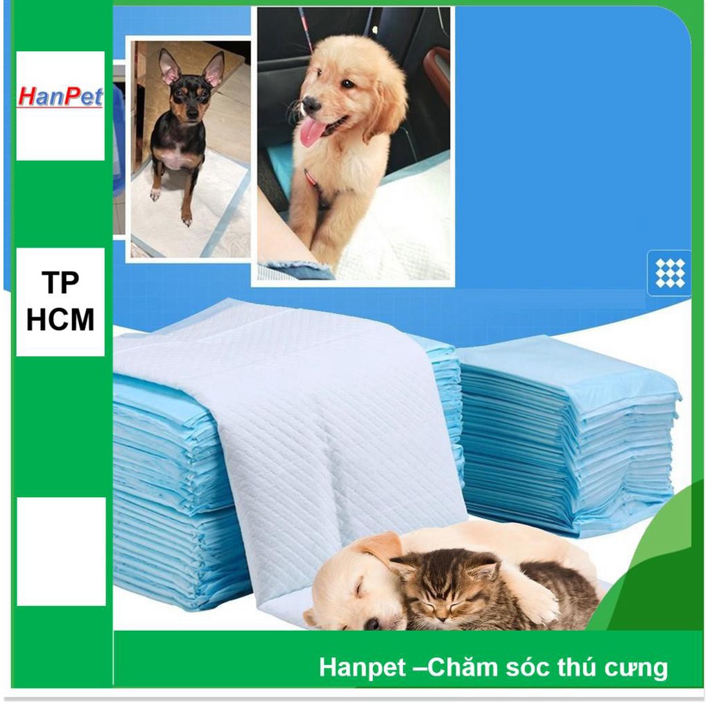 Hanpet.GV- Lẻ 1 miếng 𝕋ã 𝕝ó𝕥 𝕔𝕙𝕦ồ𝕟𝕘 & Bỉm quần dán 𝕧ệ 𝕤𝕚𝕟𝕙 chó 𝕓ỉ𝕞 𝕥𝕙ú 𝕔ư𝕟𝕘 tã giấy cho chó