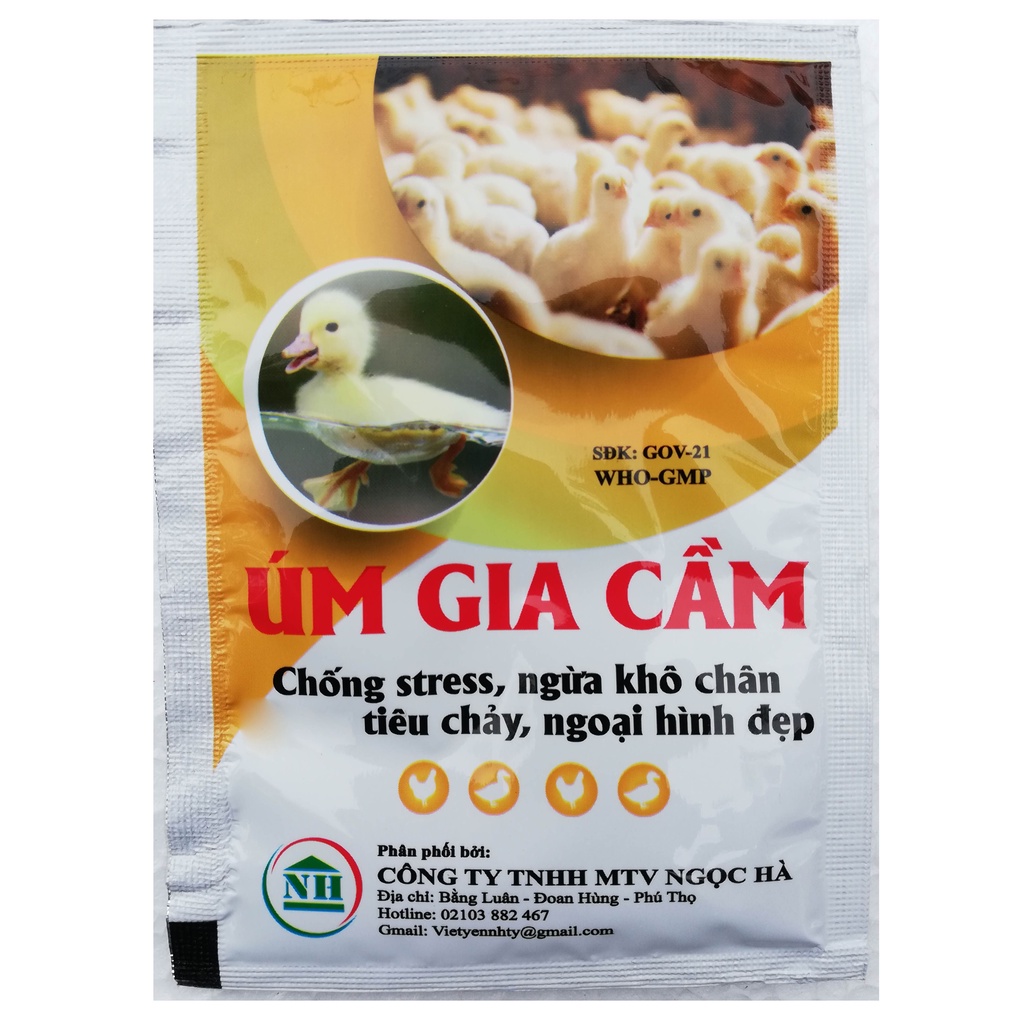 ÚM GIA CẦM 10 g Bổ sung dinh dưỡng, kích thèm ăn chảy cho gà chọi, chim cảnh