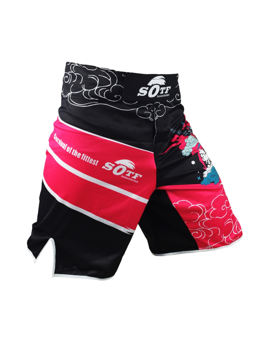 Mới Quần Short Thể Thao Tập Võ Muay Thai Cho Nam