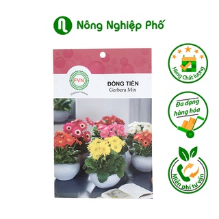 Hạt giống hoa đồng tiền lùn Gerbera mix FVN - Gói 5 hạt