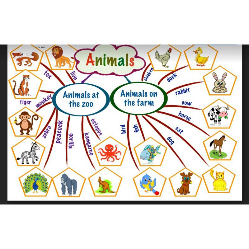 Tranh sơ đồ tư duy mindmap tiếng anh 30 chủ đề cho bé học tập - English For Kids