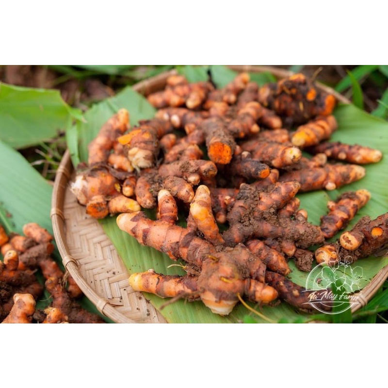 Nghệ ngâm mật ong, phấn hoa Lá Mây cho da mịn đẹp, hồng xinh, tiêu hóa khỏe mạnh