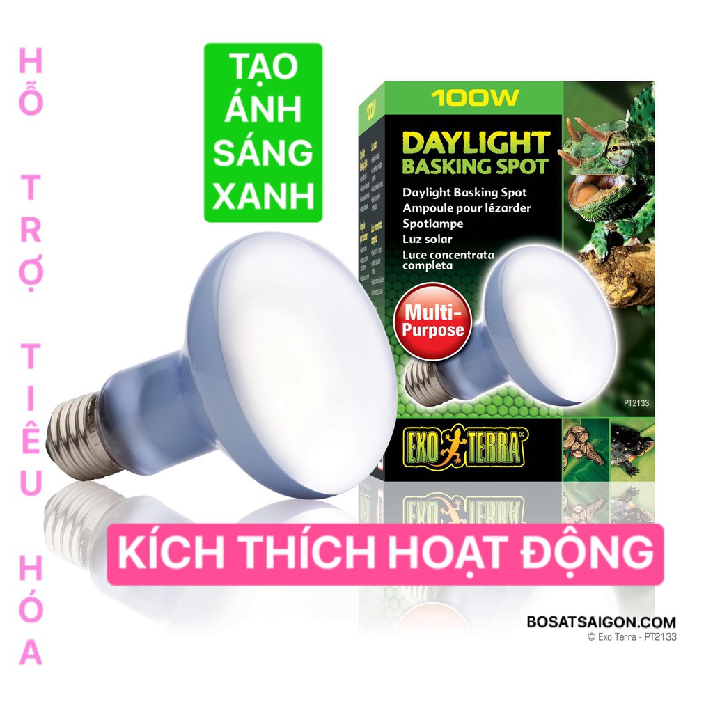 ĐÈN SƯỞI DAYLIGHT KÍCH THÍCH HOẠT ĐỘNG, SINH SẢN, HẤP THỤ CHẤT DINH DƯỠNG, UVA UVB [ 75W - 100W - 150W ] CHÍNH HÃNG EXO