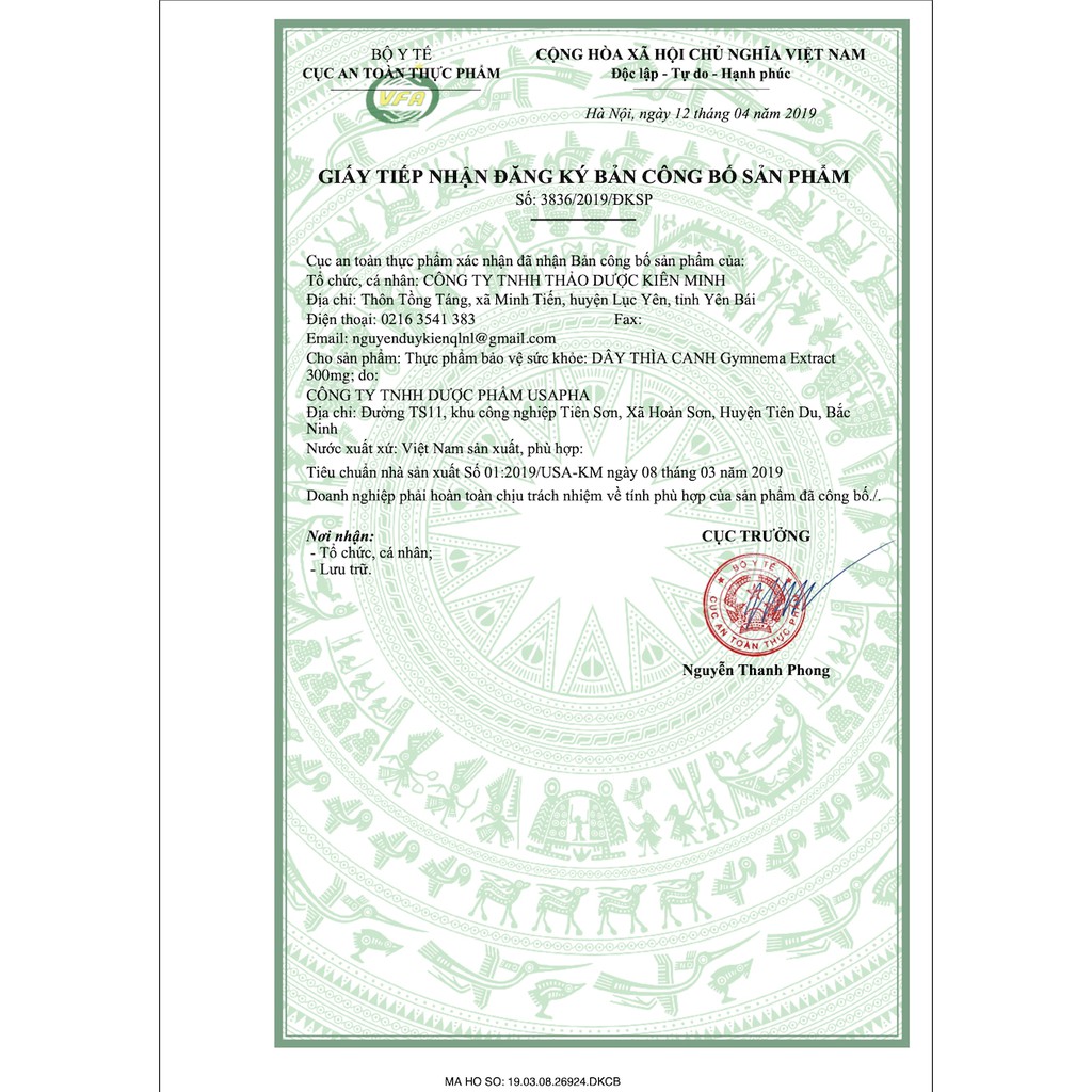 Dây Thìa Canh  - Thảo dược truyền thống cho người tiểu đường