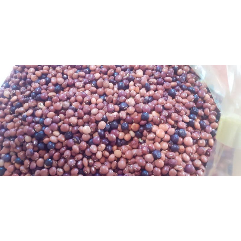 500 gram đậu săng