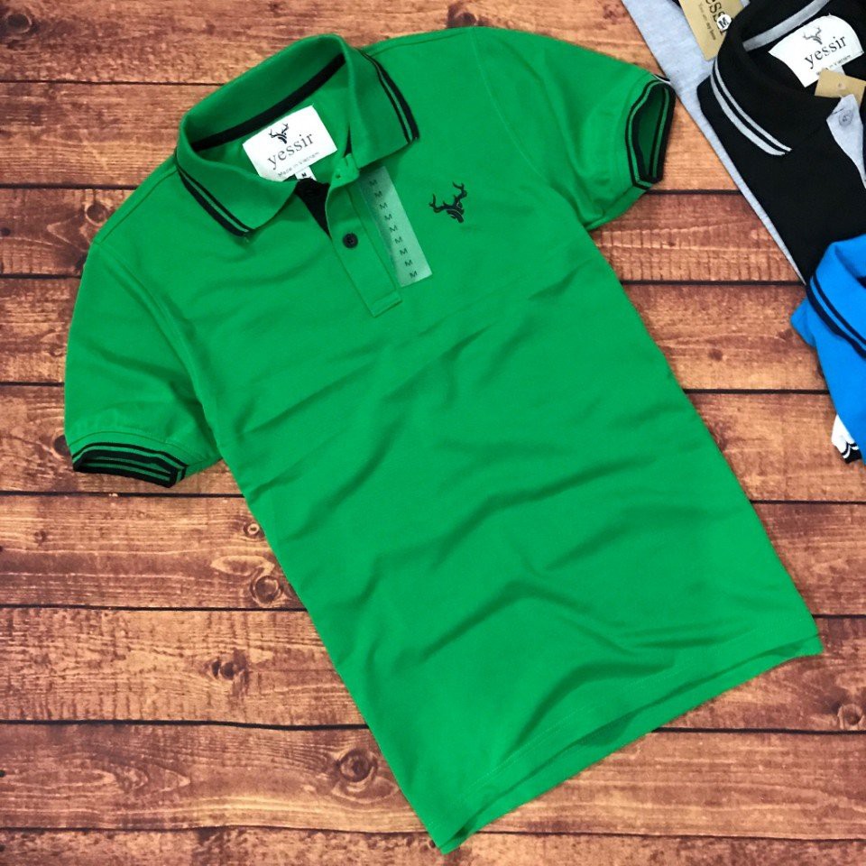 ÁO THUN NAM CÁ SẤU CÓ SIZE 3XL | BigBuy360 - bigbuy360.vn