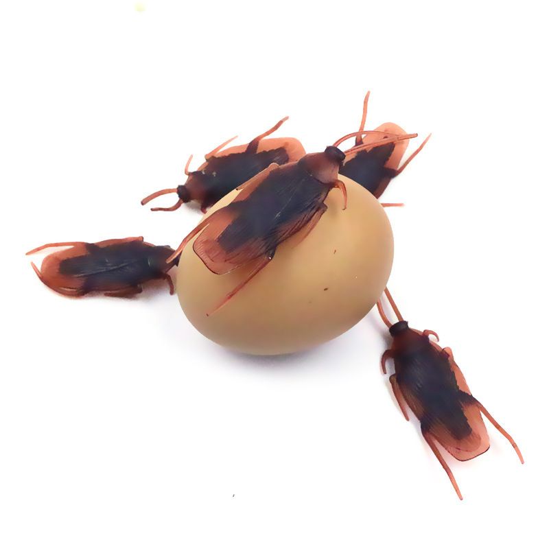 Con Gián Giả Đồ Chơi Chó Mèo, Chơi Khăm