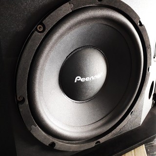 Bộ 2 Loa nằm Peenner PS-699