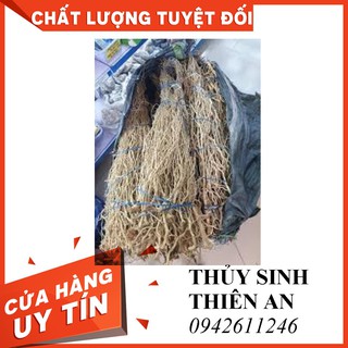 Rễ rừng tạo cảnh thủy sinh (100gr)