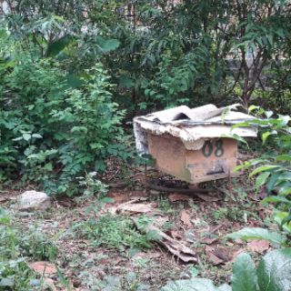 Mật ong hoa rừng phú thọ