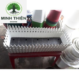 Combo 2 Chậu hàng rào lớn 65cmx20cmx21cm