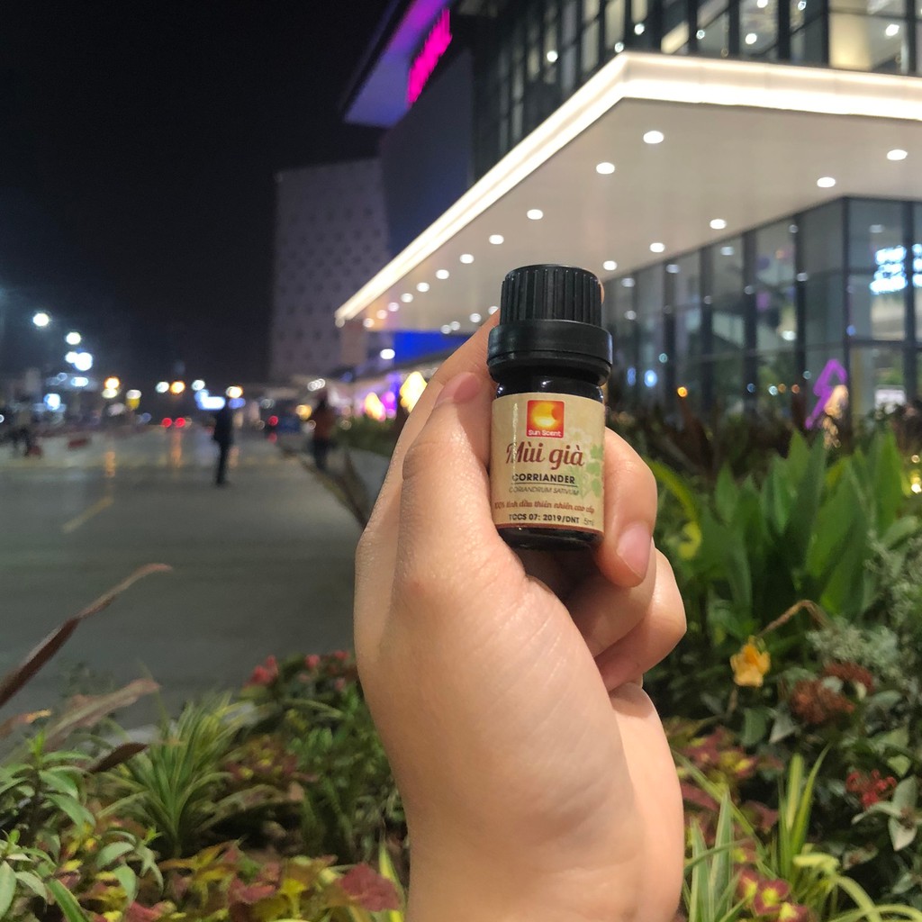 Tinh dầu Mùi Già Sun Scent hàng chuẩn thơm như Tết - full TEST GCMS | BigBuy360 - bigbuy360.vn