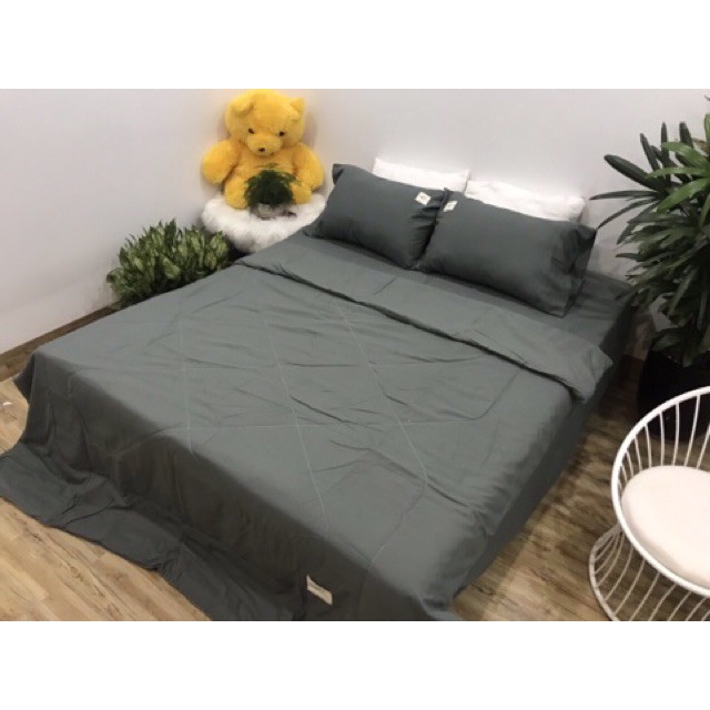 Sét chăn hè trần bông nhập khẩu