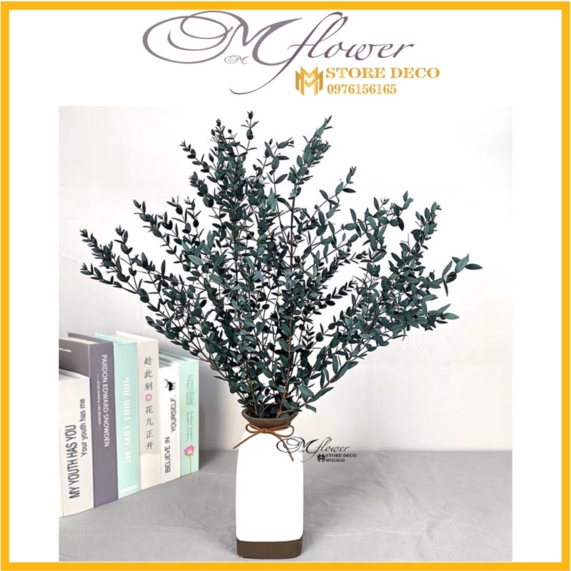 Hoa lá khô bạch đàn Eucalyptus trang trí cắm hoa, decor nhà cửa, chụp hình sản phẩm
