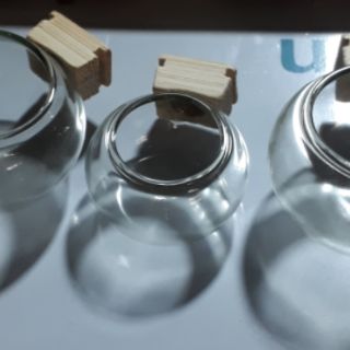 Cóng thủy tinh cho lồng mào