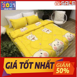 Free ship Bộ chăn phao ga gối 1m8 vải poly mẫu BCP120