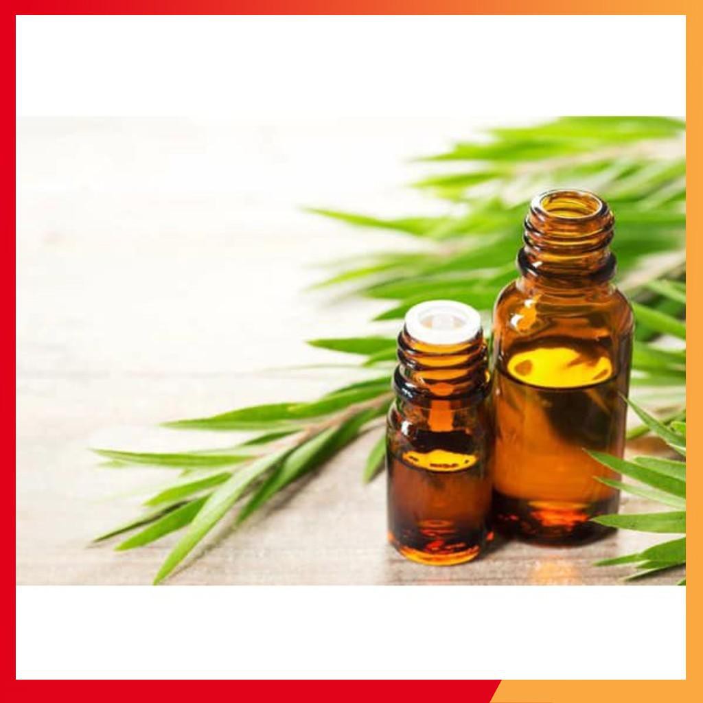 Tinh dầu thiên nhiên lọ 5ml xông thơm phòng nhiều mùi như sả chanh, cà phê,...
