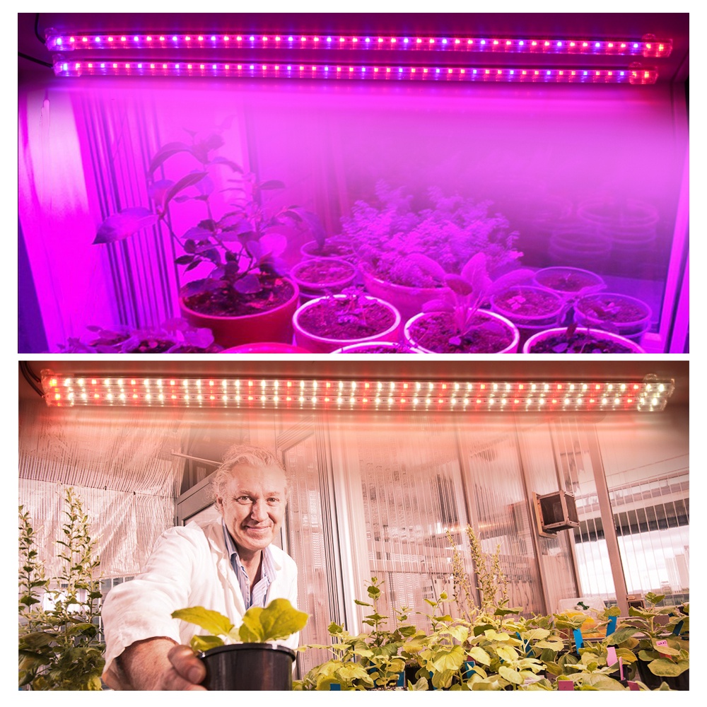 Thanh Đèn LED Trồng Cây DC5V USB 32 Bóng 50Cm