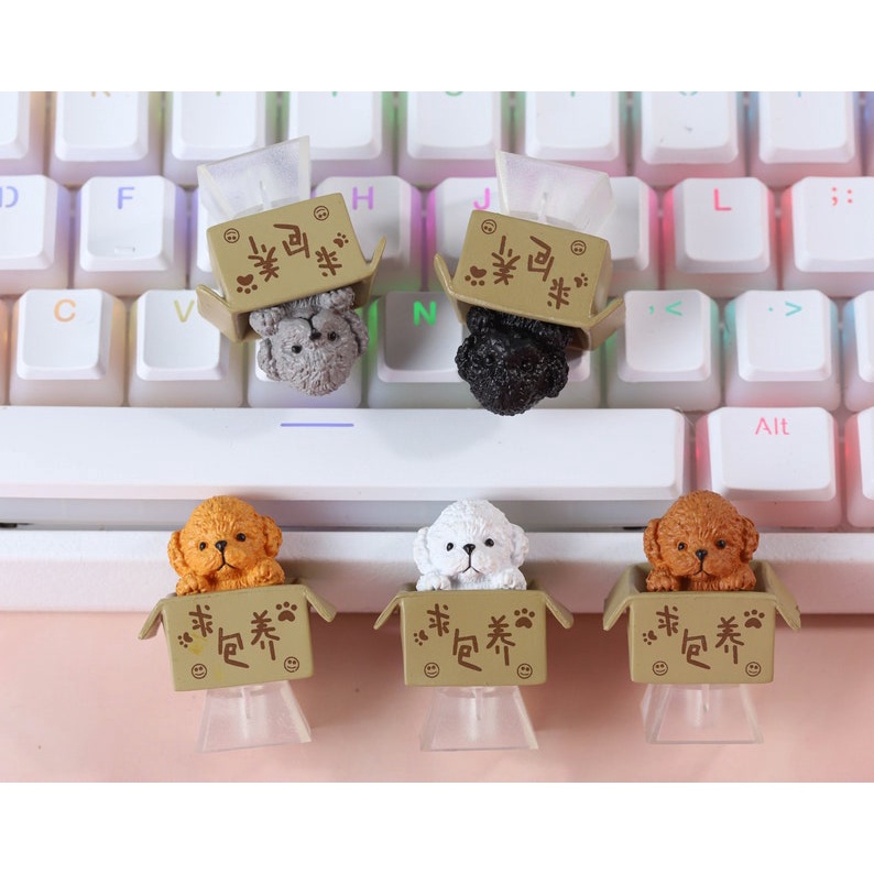 Keycap lẻ Mèo Con Trong Hộp siêu dễ thương Lionvn