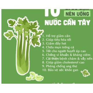 500GR Bột Cần Tây Sấy Lạnh