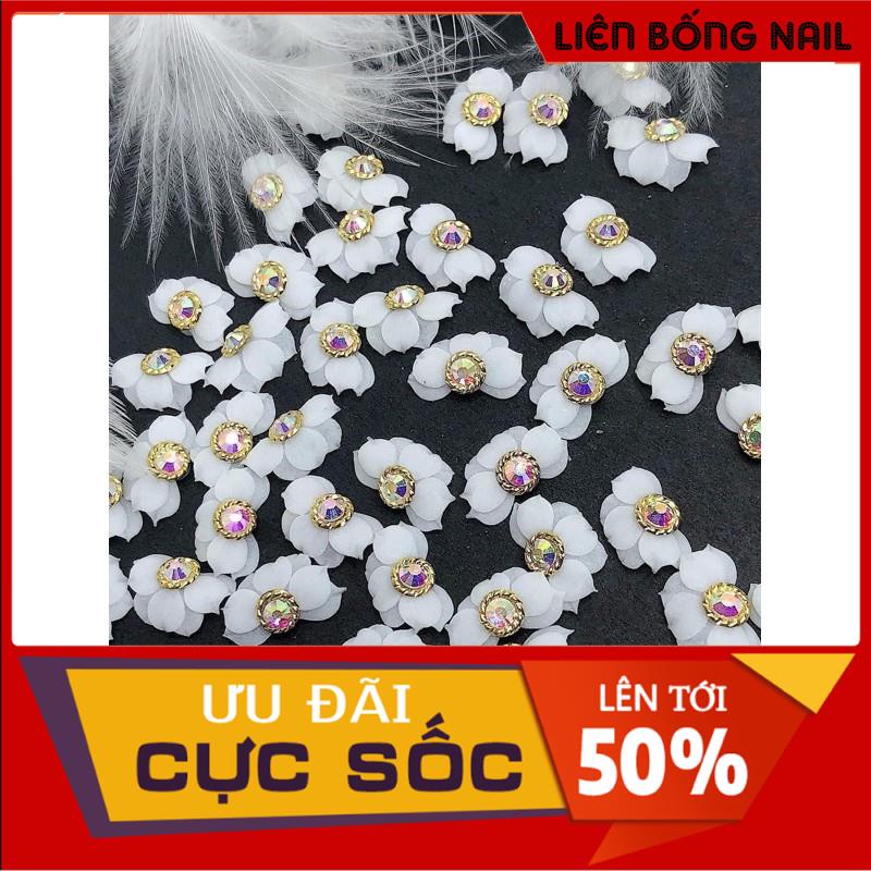 Hoa cúc nhọn - Hoa bột nail