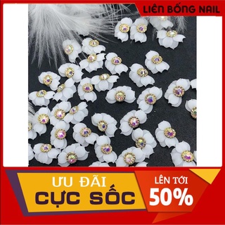 Hoa cúc nhọn - Hoa bột nail