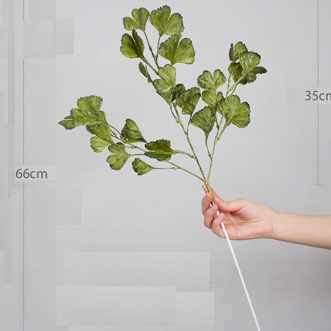 LÁ CÂY DECOR, phong phú nhiều loại đẹp, tươi mới không gian sống