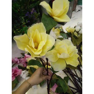 HOA MỘC LAN CAO SU CAO CẤP