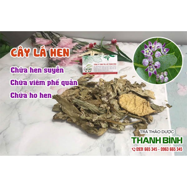 Cây Lá Hen 100g Hàng Loại 1 - Dược Liệu Thanh Bình