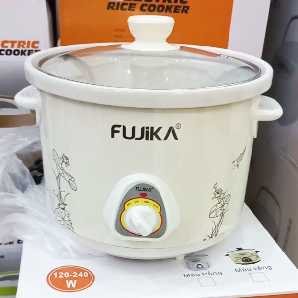 Nồi kho cá/nấu cháo chậm Fujika FJ-KC2.5L