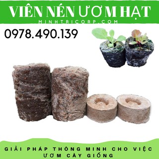 100 Viên Nén Ươm Hạt [Tặng Hạt Giống]